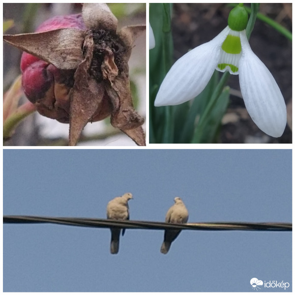 Február legmelegebb napja (ma 18 °C volt)