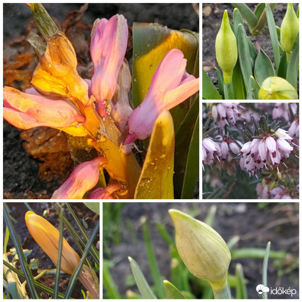 Közeleg a tavasz 