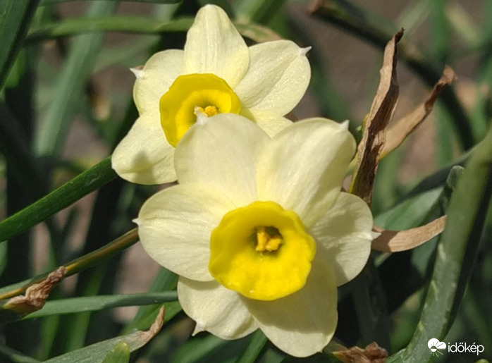 24°C, enyhe szél Budapesten