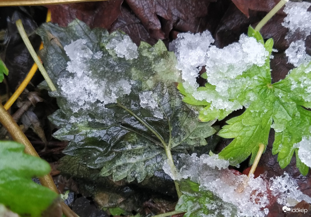 1 C°, havas eső Budapesten