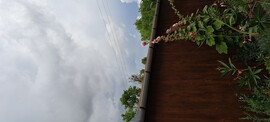 Tépe