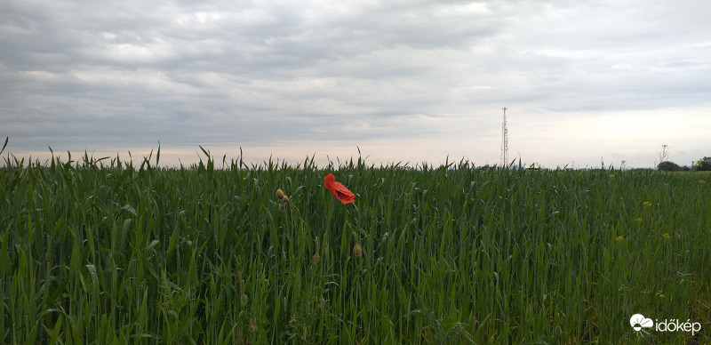 Győr