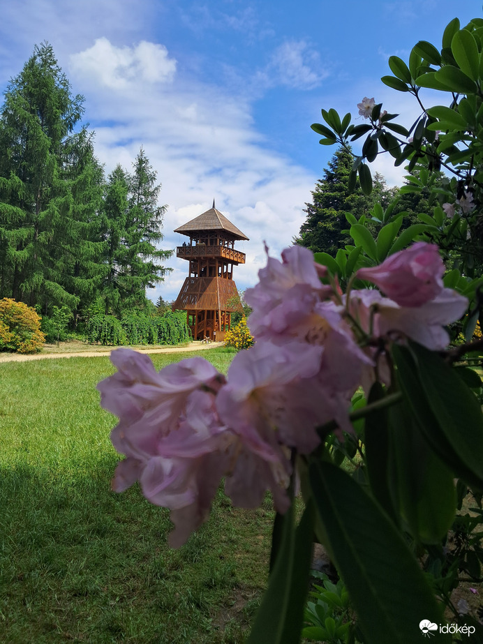 Jeli arborétum