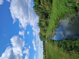 Pándzsa