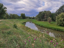 Pándzsa