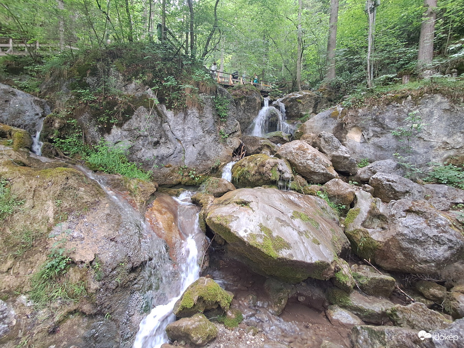 Természet