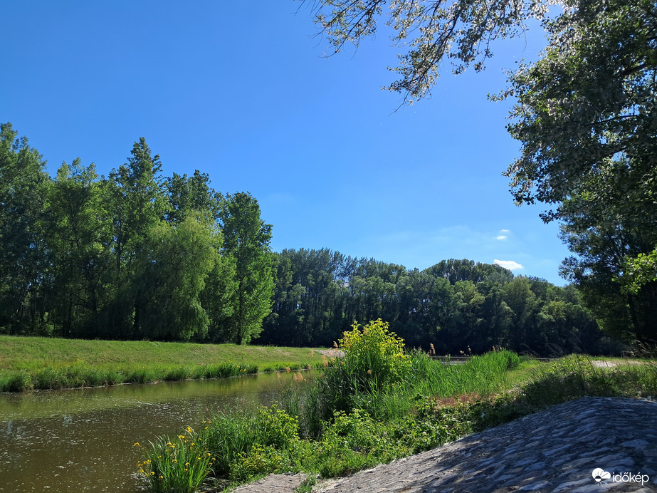 Természet