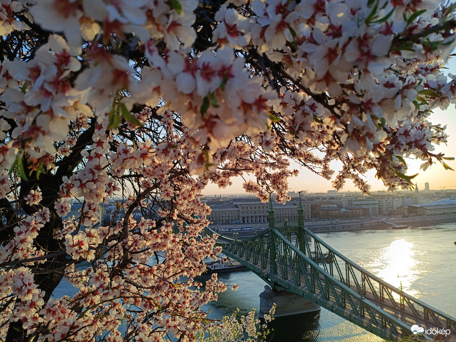 Pirkadat a Gellért-hegyen