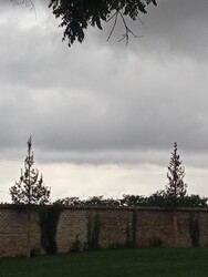 Geszt