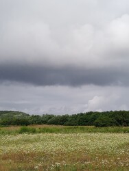 Geszt