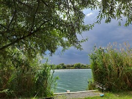 Szabadkígyós