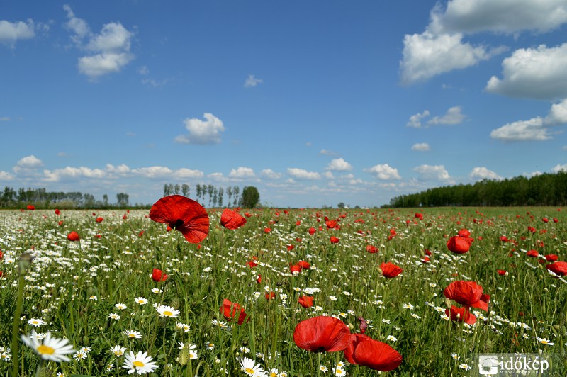 Zsadány 
