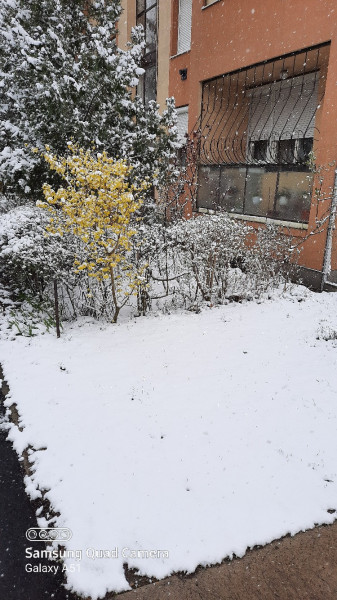 Kecskemét