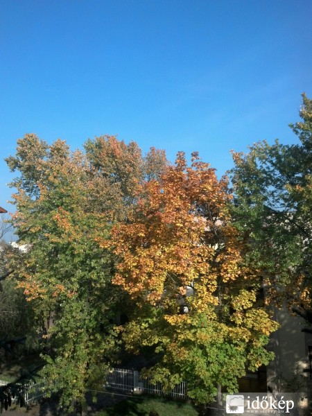 Kecskemét