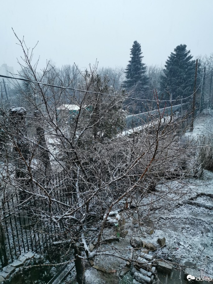 Észlelési fényképek