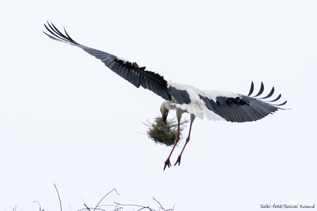 Landing