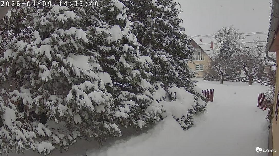 Nagypelyhes Hóesés