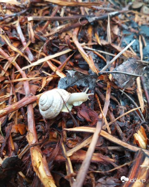 #Maradj Otthon #VigyázunkEgymásra