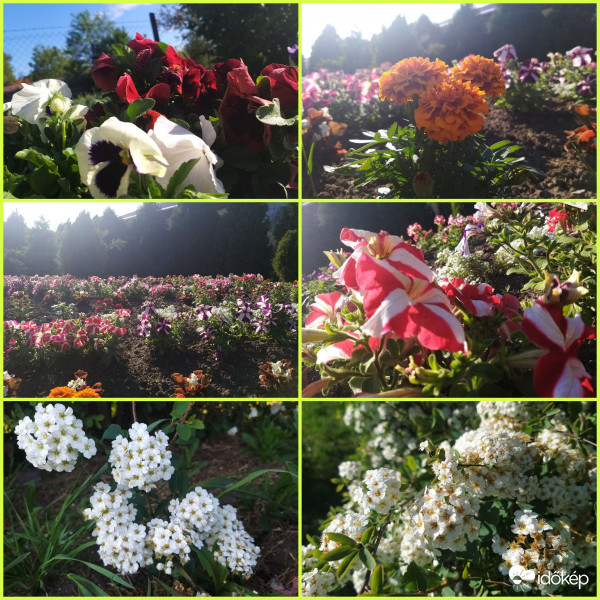 VirágMontázs 2