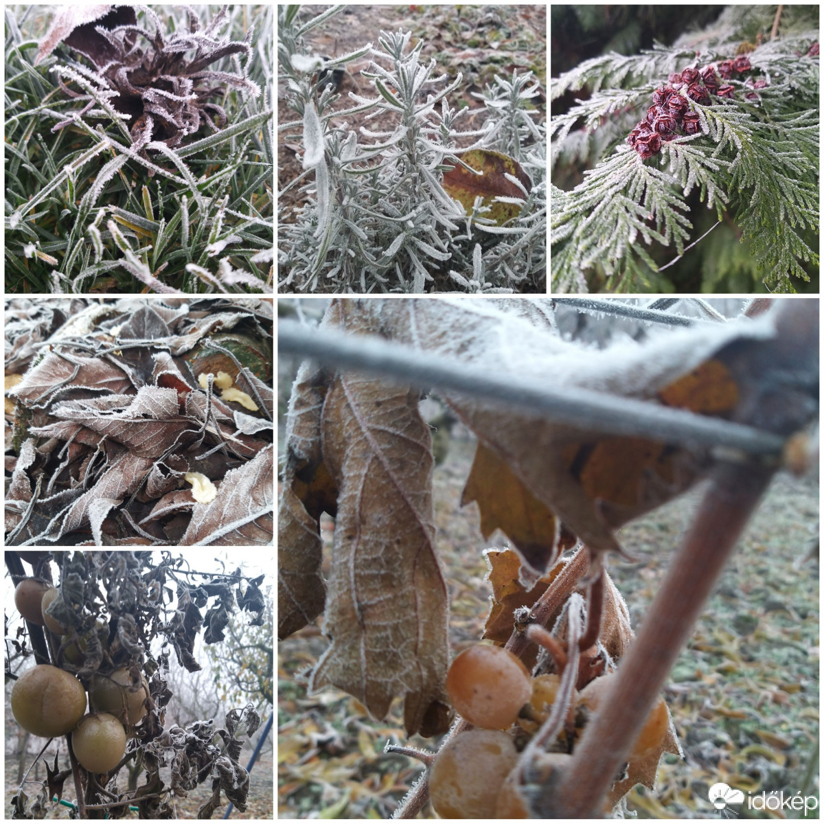 Az ideji jeges kolázsom