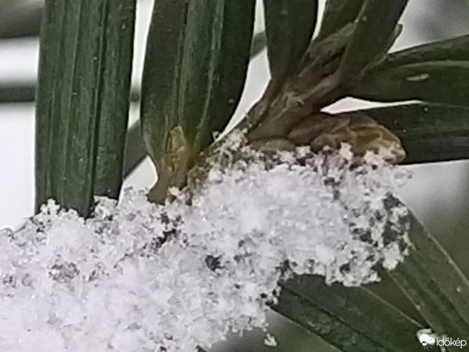 Hópehely akart lenni