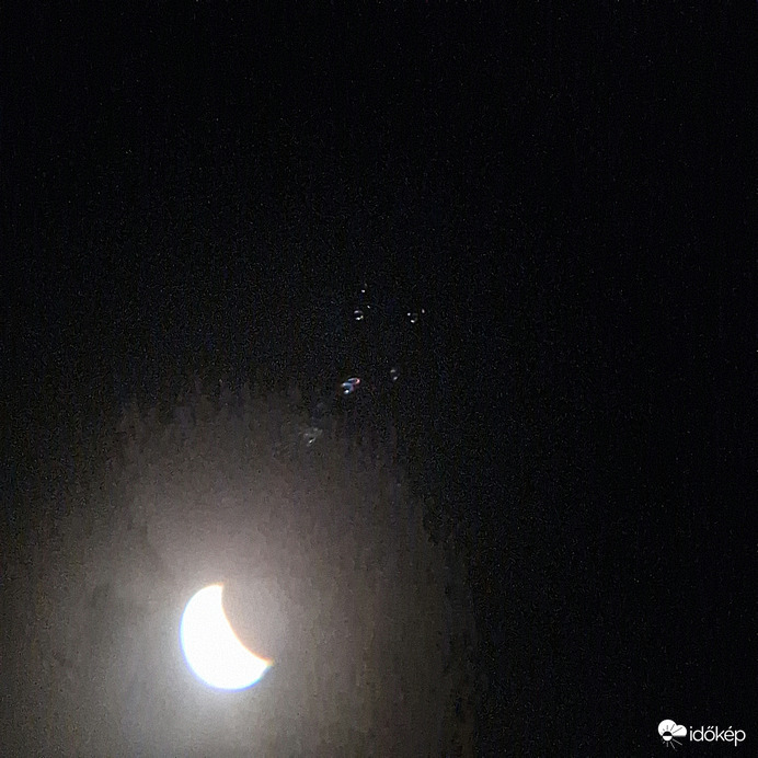 Hold És A Fiastyúk