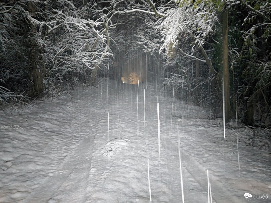 Ladánybene