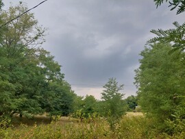 Ladánybene
