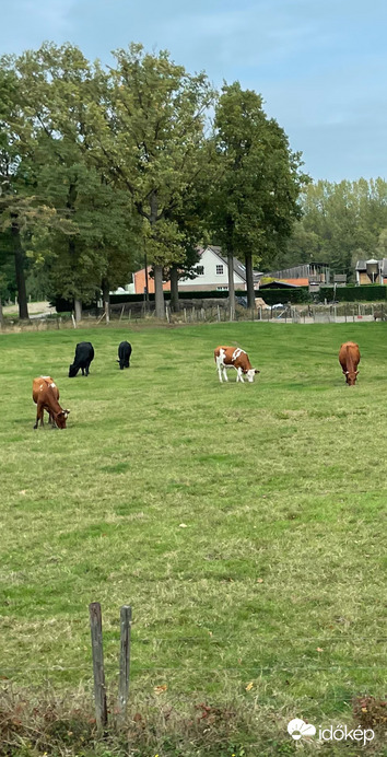 Farm ahol élünk :)