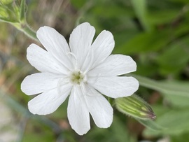 sztimea820723 fotója