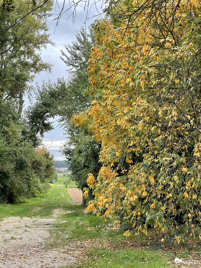 A végtelenbe és tovább…:)