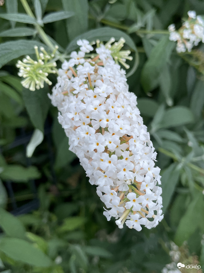 Még mindig nagyon szép! 