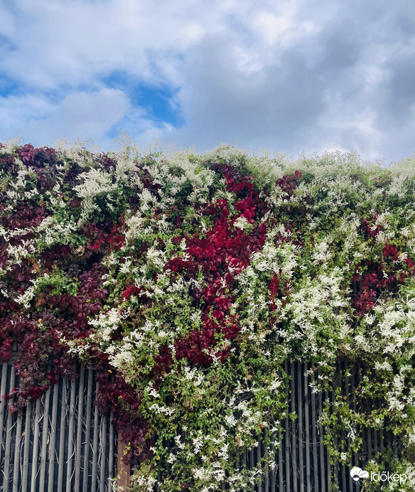 Csodálatos természet