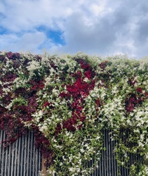 Csodálatos természet