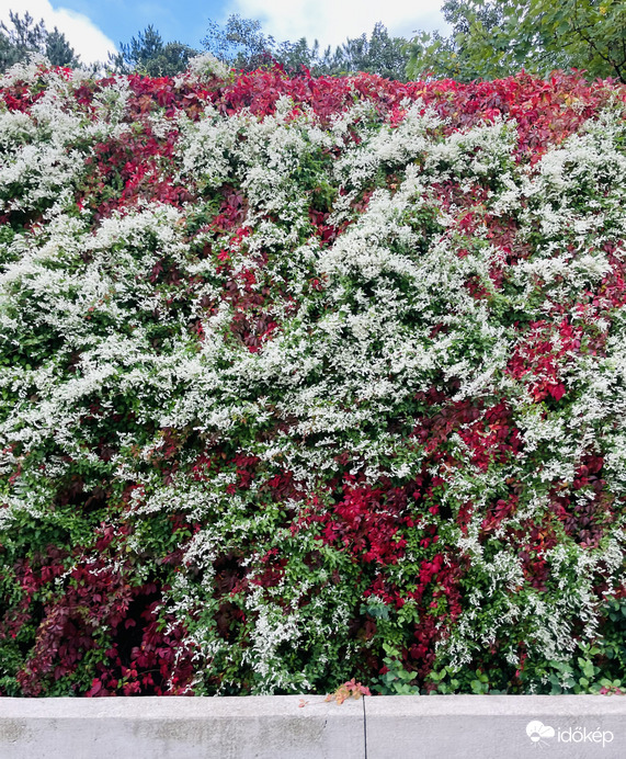 Csodálatos természet