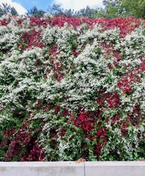 Csodálatos természet