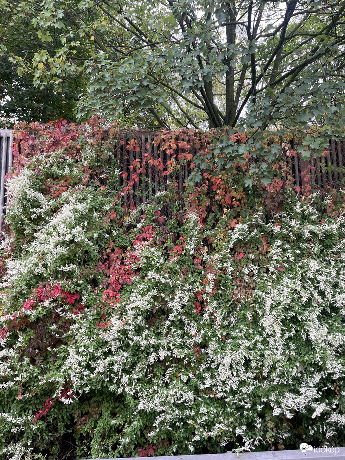 Csodálatos természet