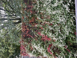 Csodálatos természet