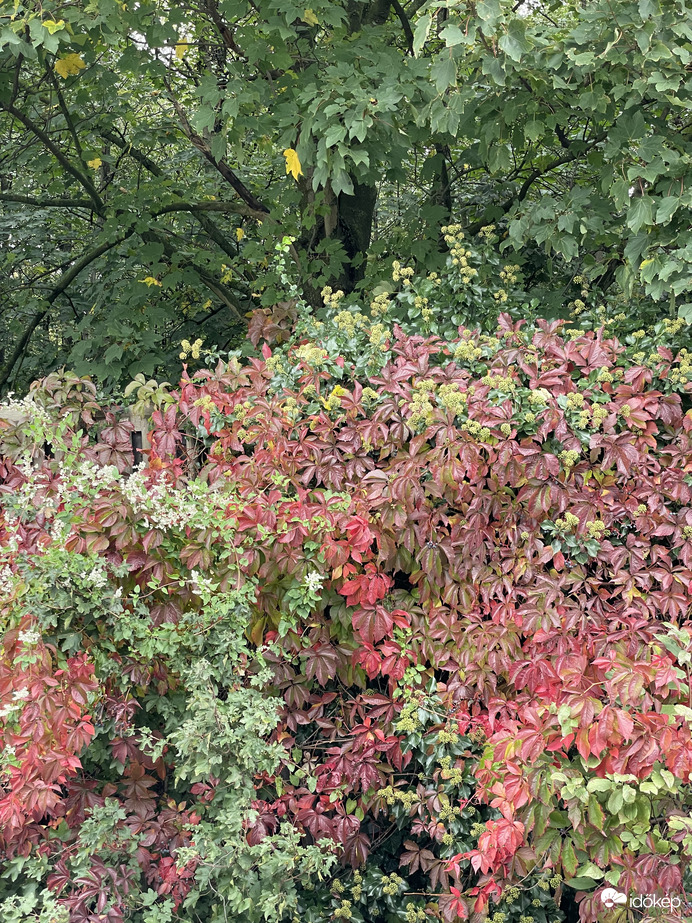 Csodálatos természet