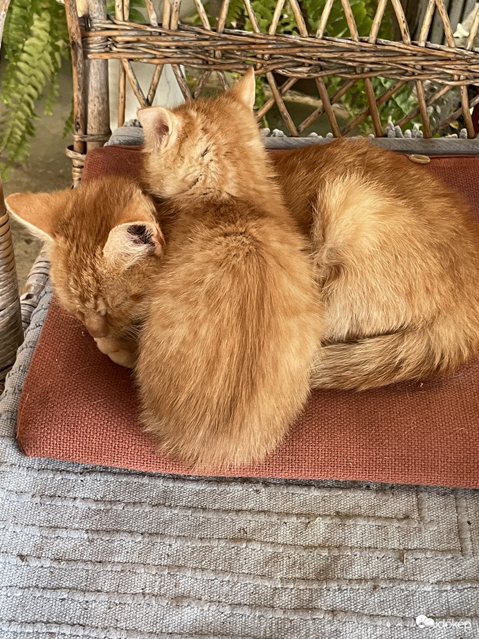 Melegítjük egymást!:)