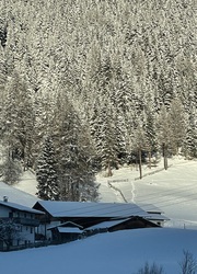 Bárcsak ilyen karácsonyunk lenne