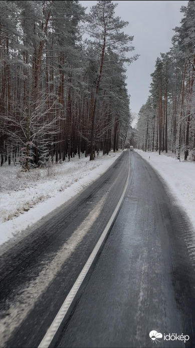 Csodálatos erdei út…:)