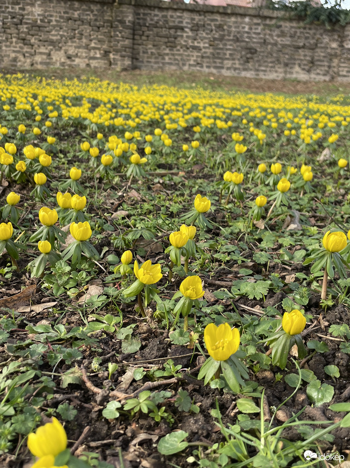 Ébredezik a természet:)