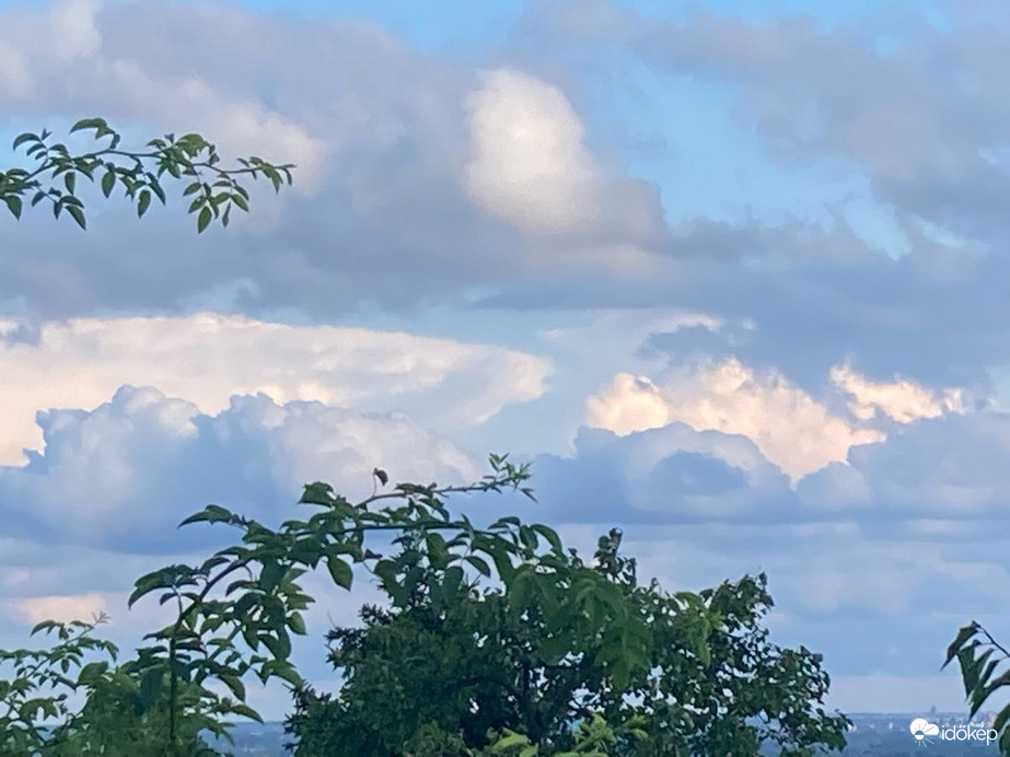 Észlelési fényképek