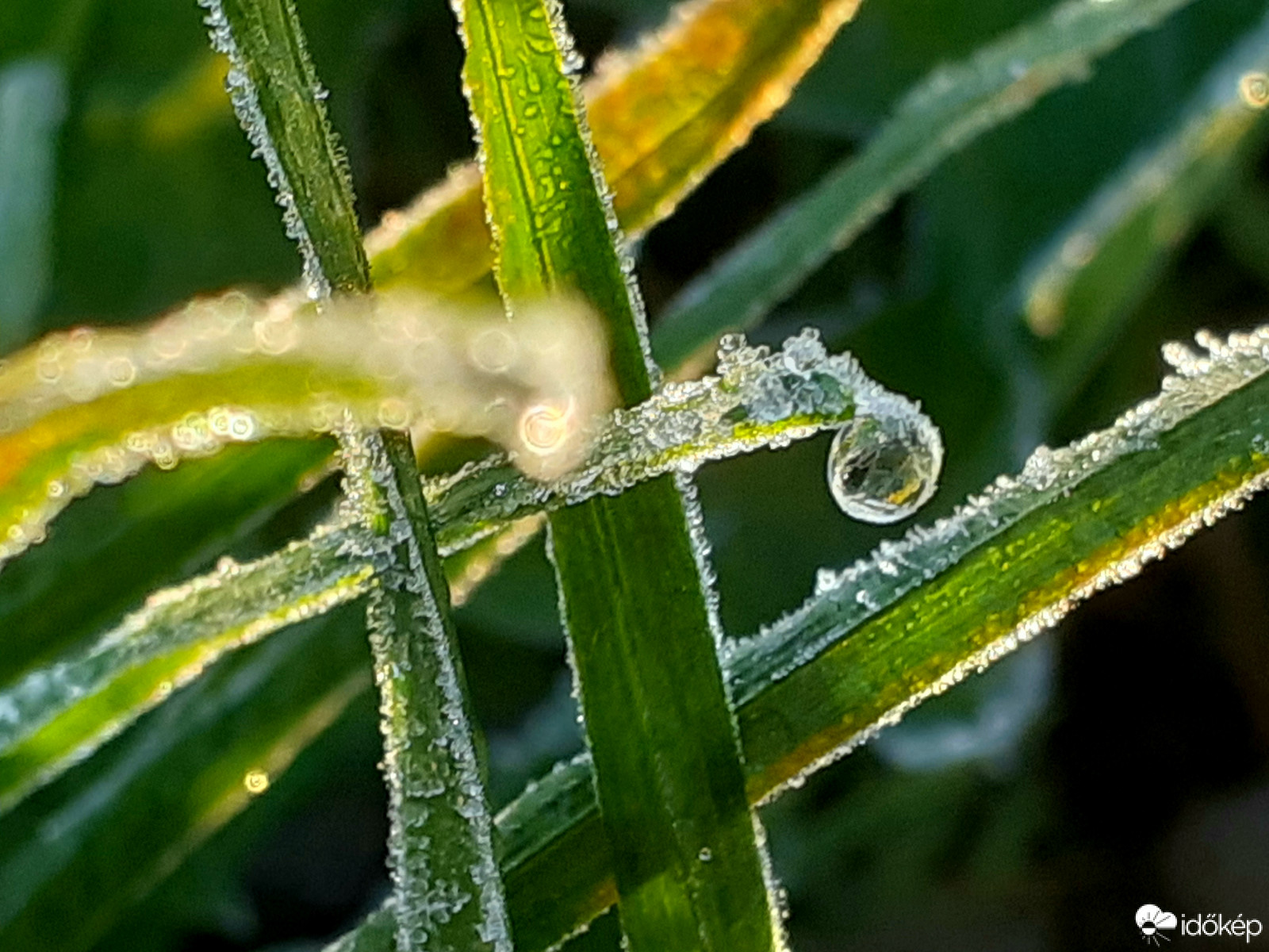 Faggyal érkező november 3.