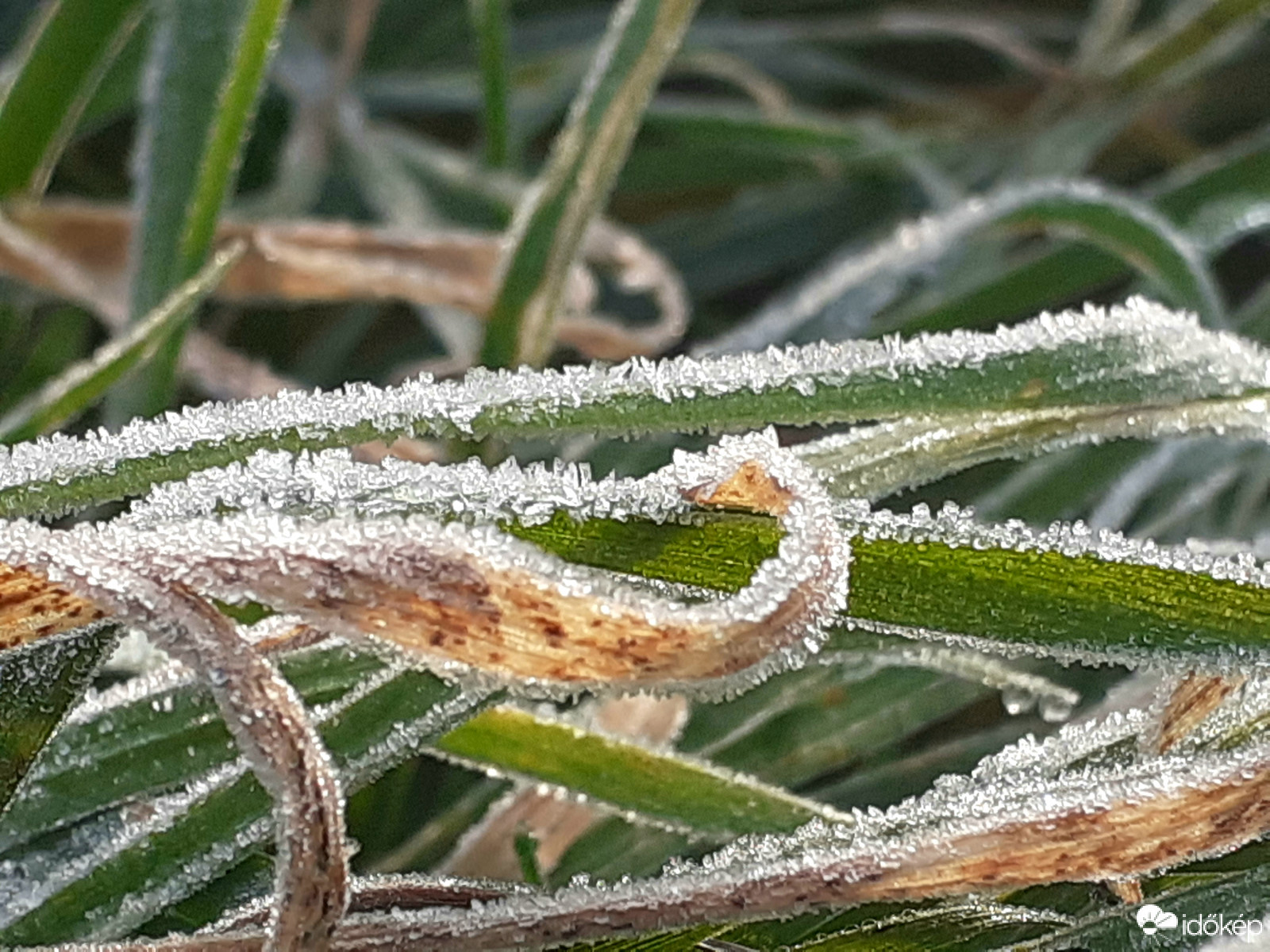 Ismét egy fagyos hétkezdet!:)