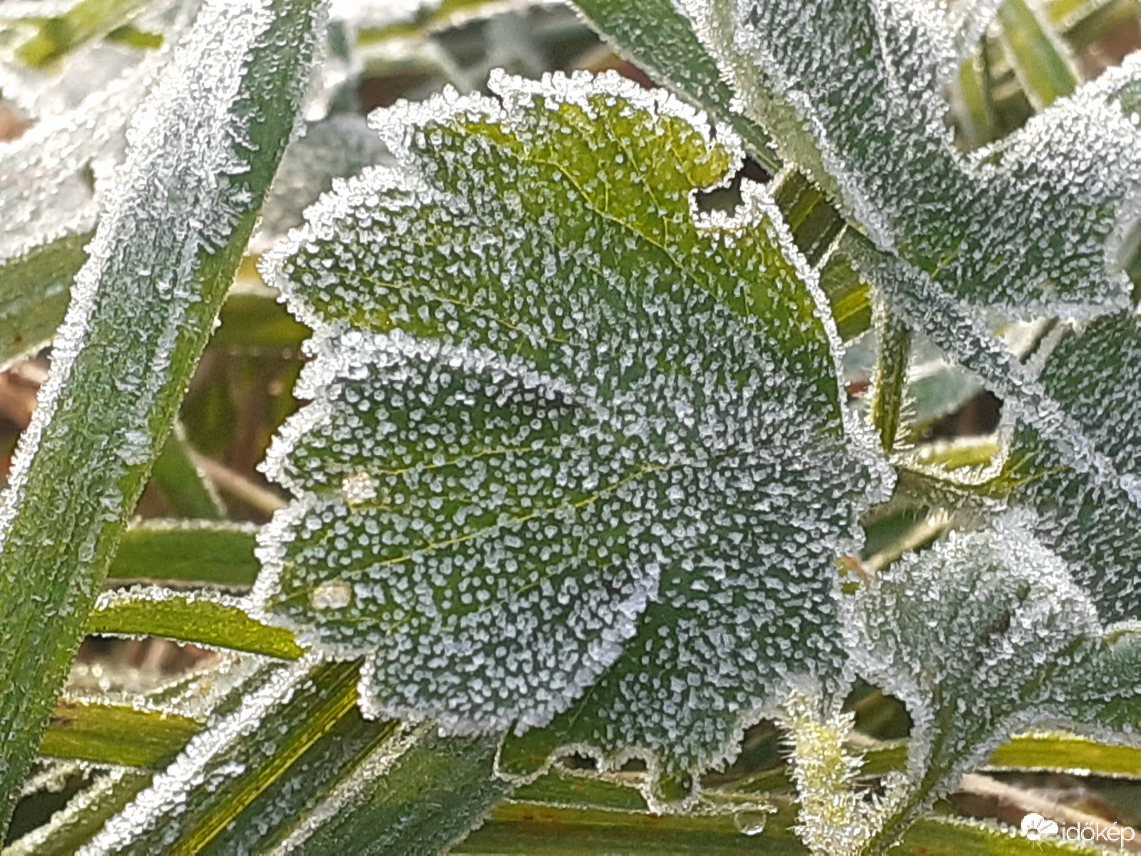 Reggelre -1.7°C-ig hűlt a levegő