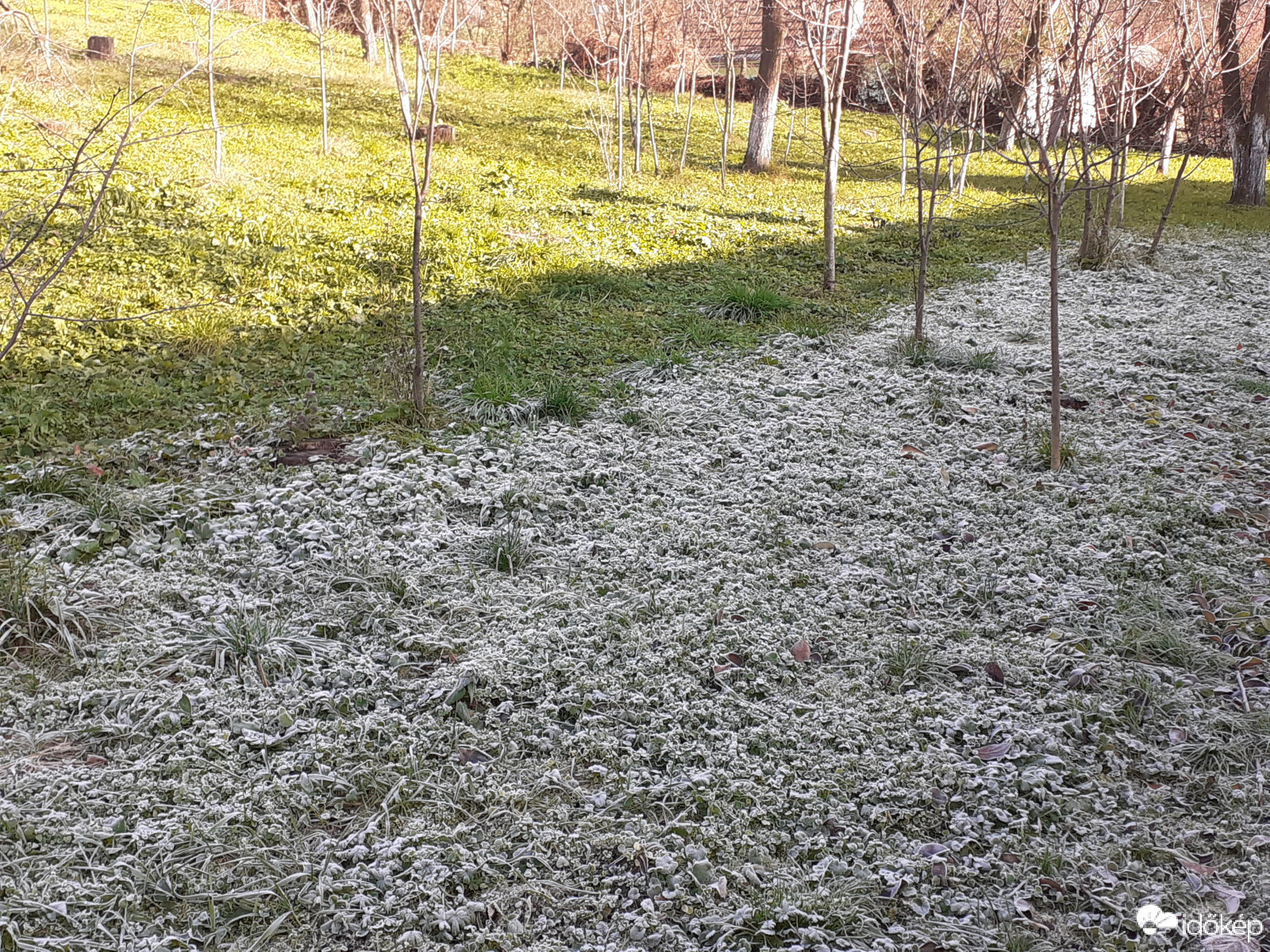 Nem hagyja magát! :))