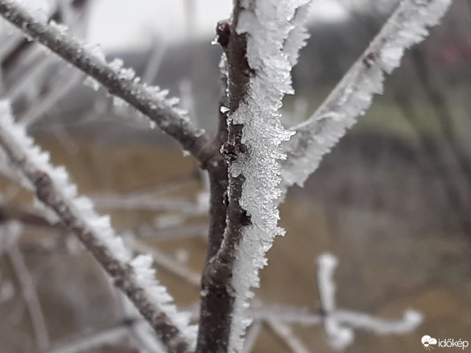 Zúzmara 2020.11.27. tszf. magasság 275 m