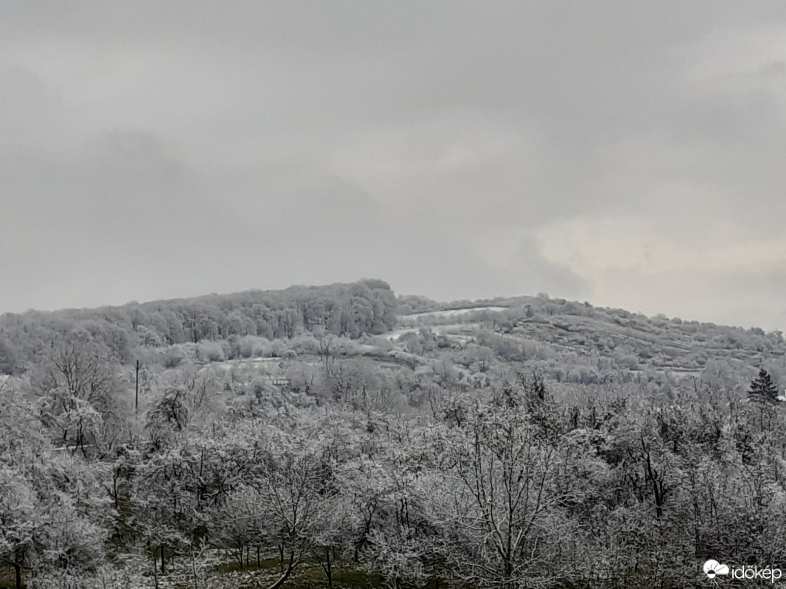 Téli táj - 2020.11.29. délelőtt